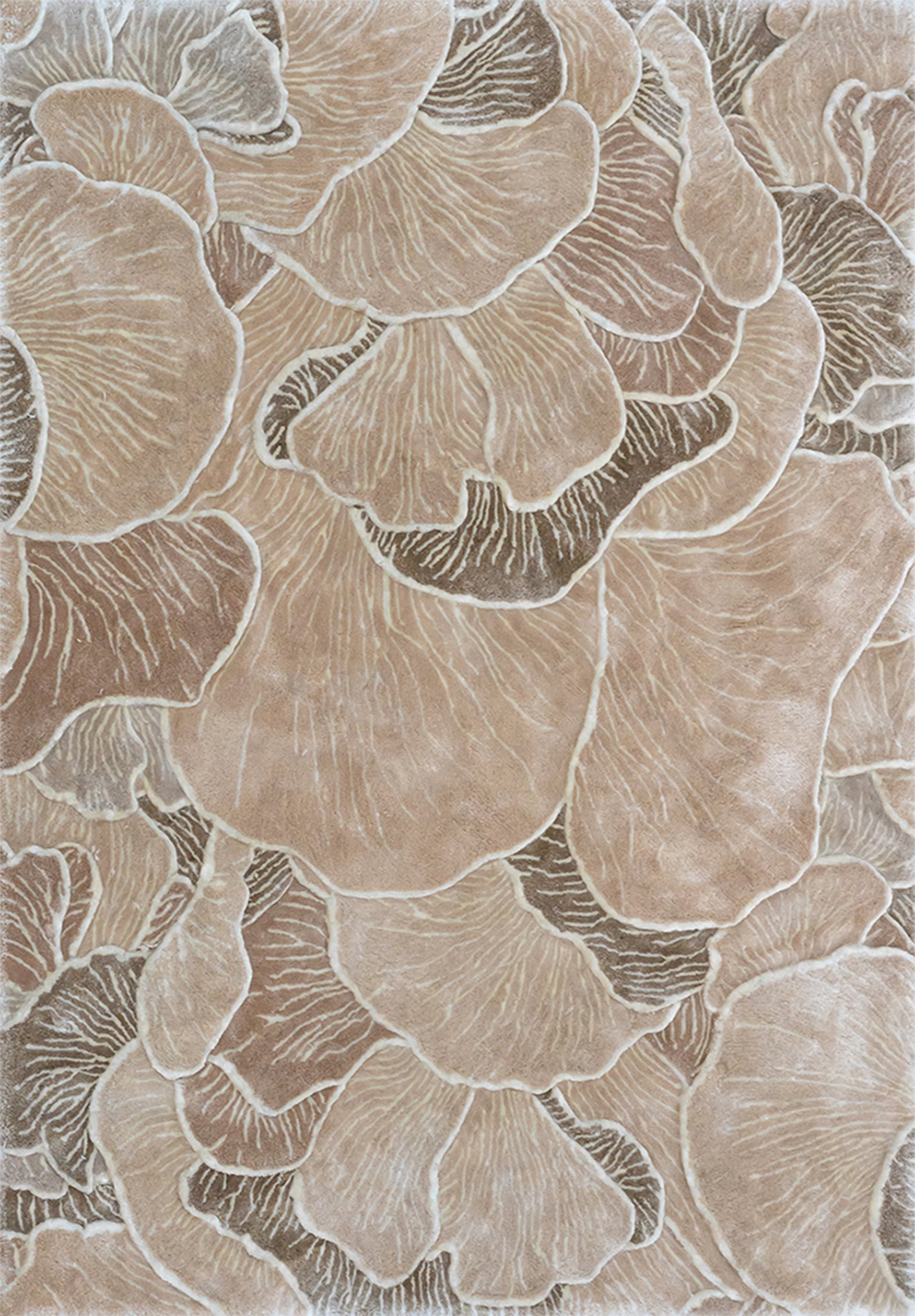 Floreat Collections 01