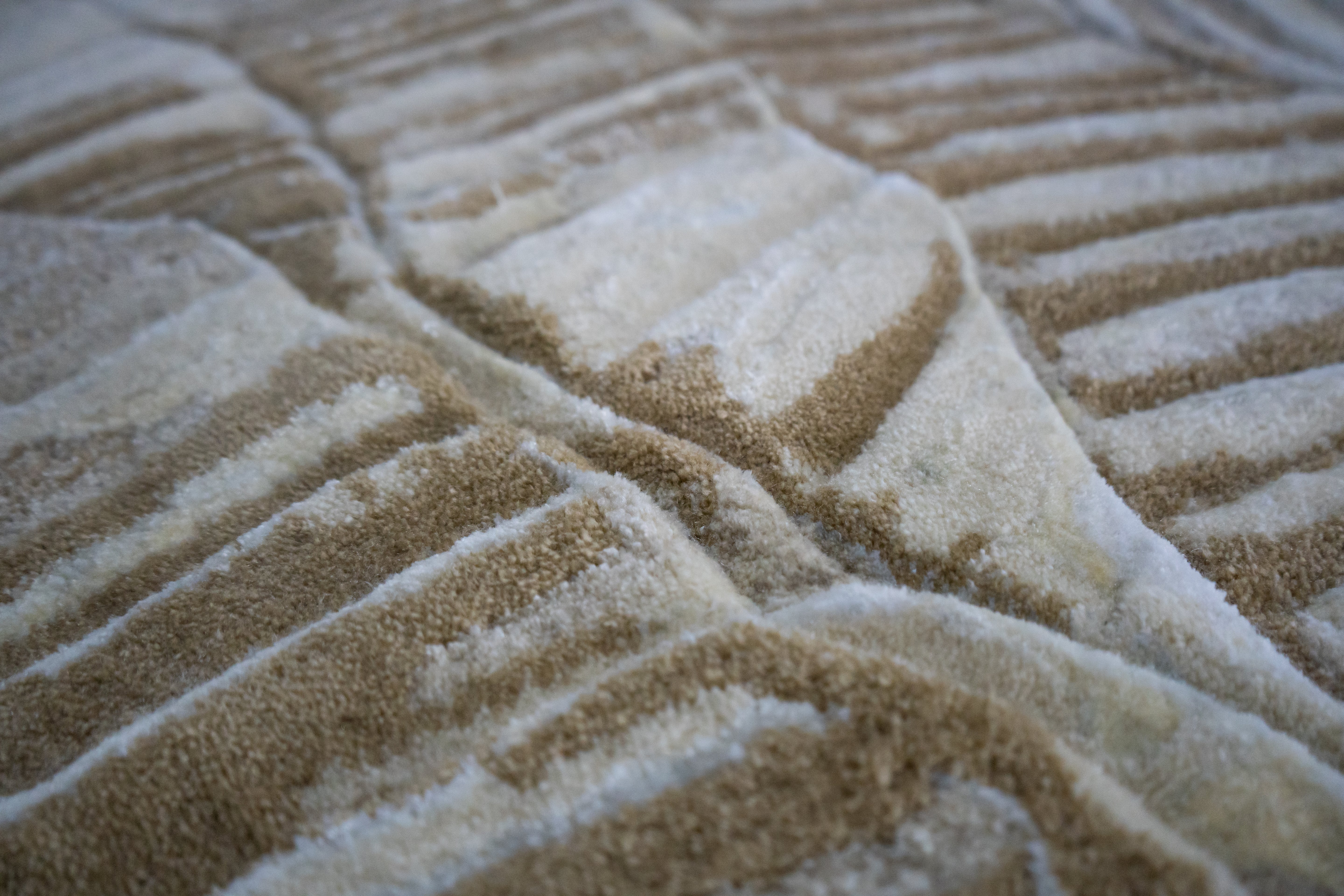 Floreat Collections 02