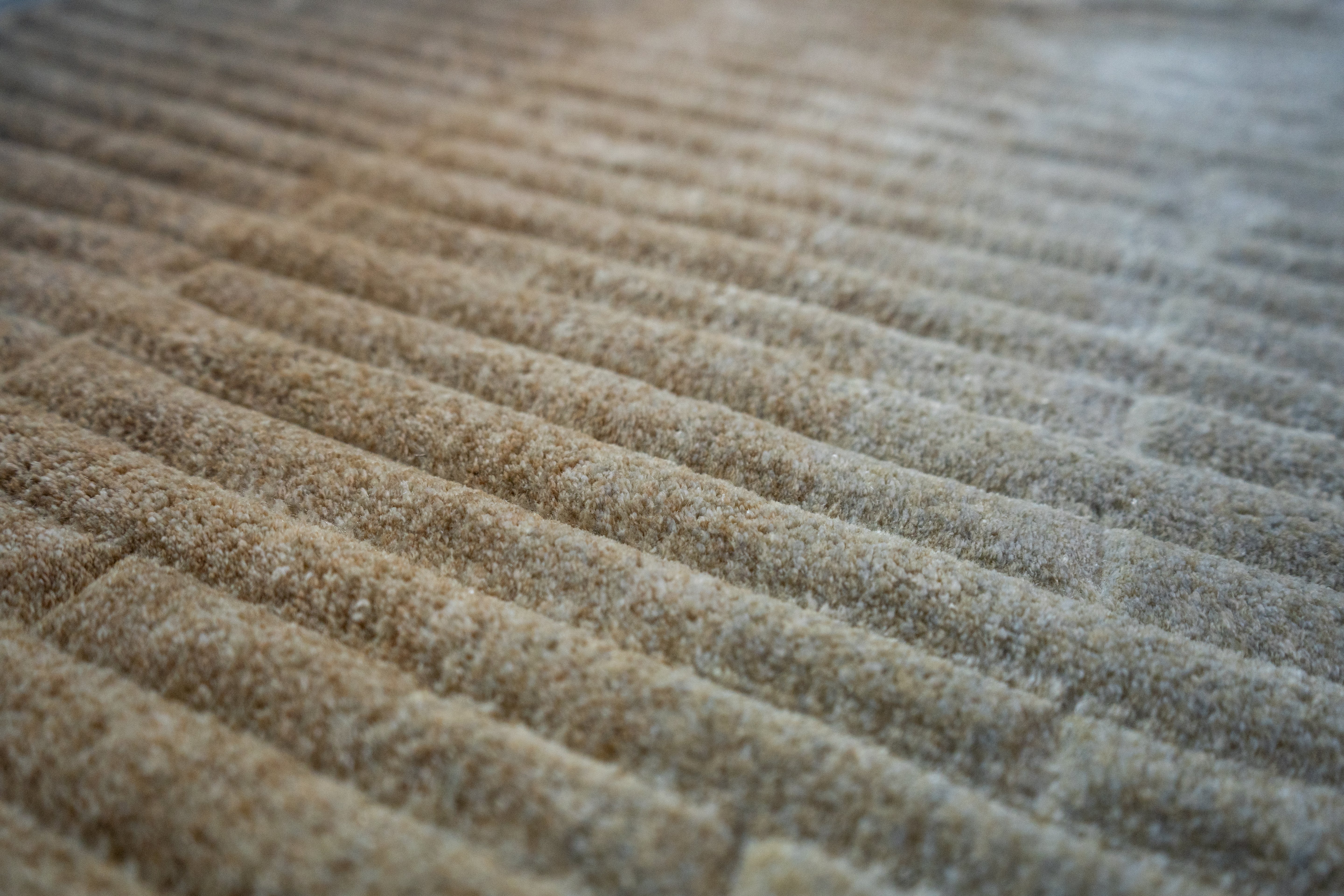 Floreat Collections 03