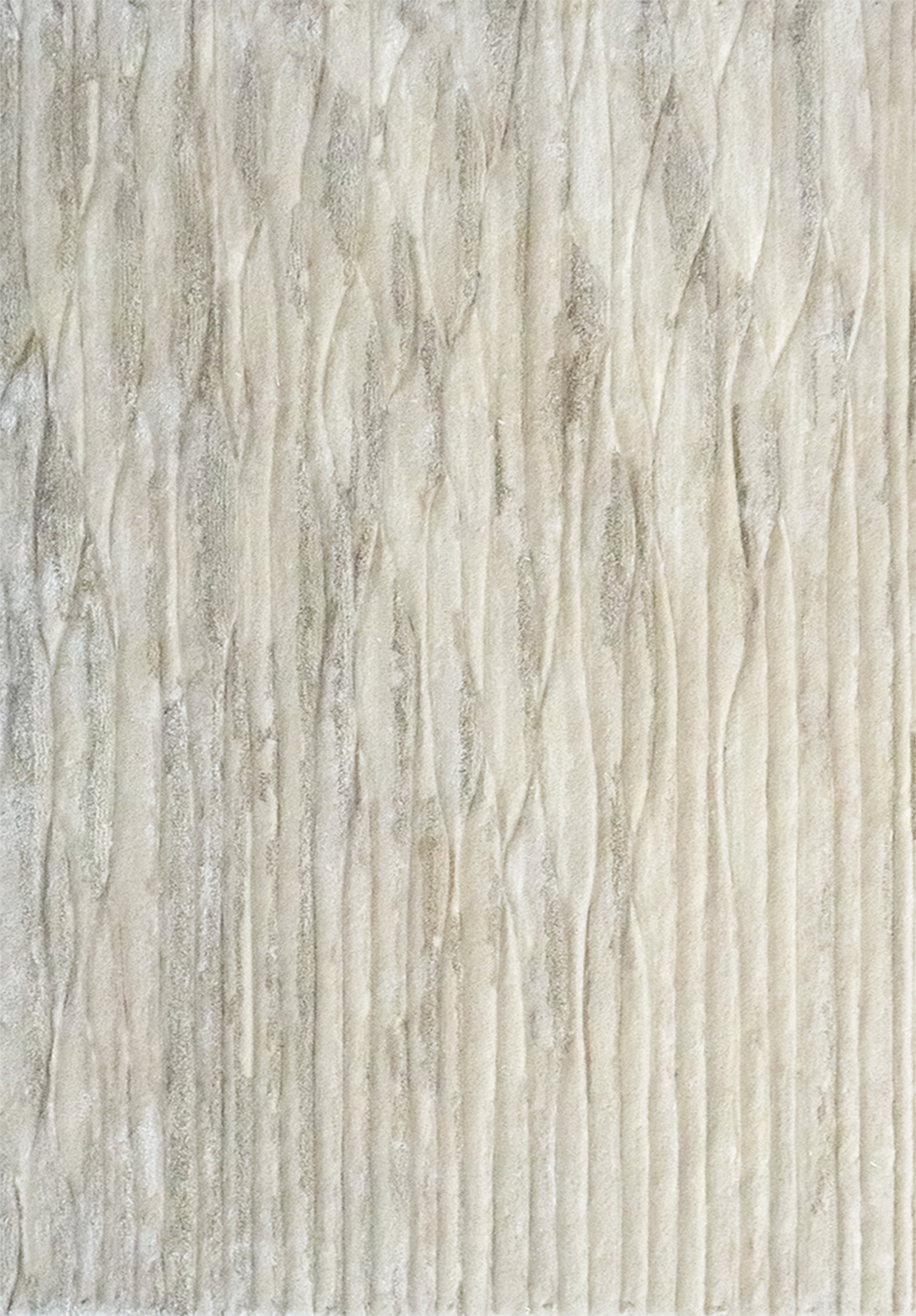 Mycelia Collections 01