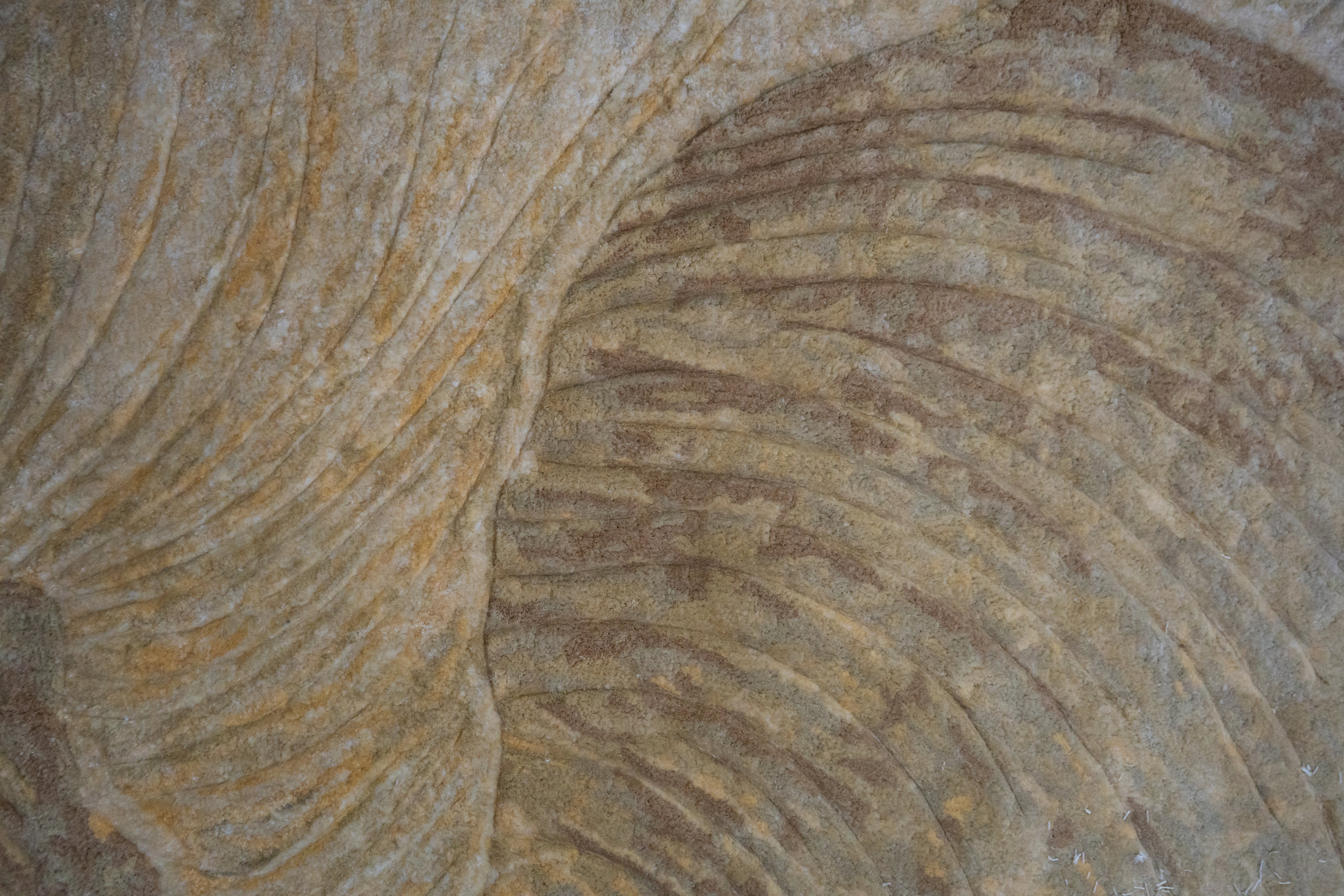 Terra Collections 03