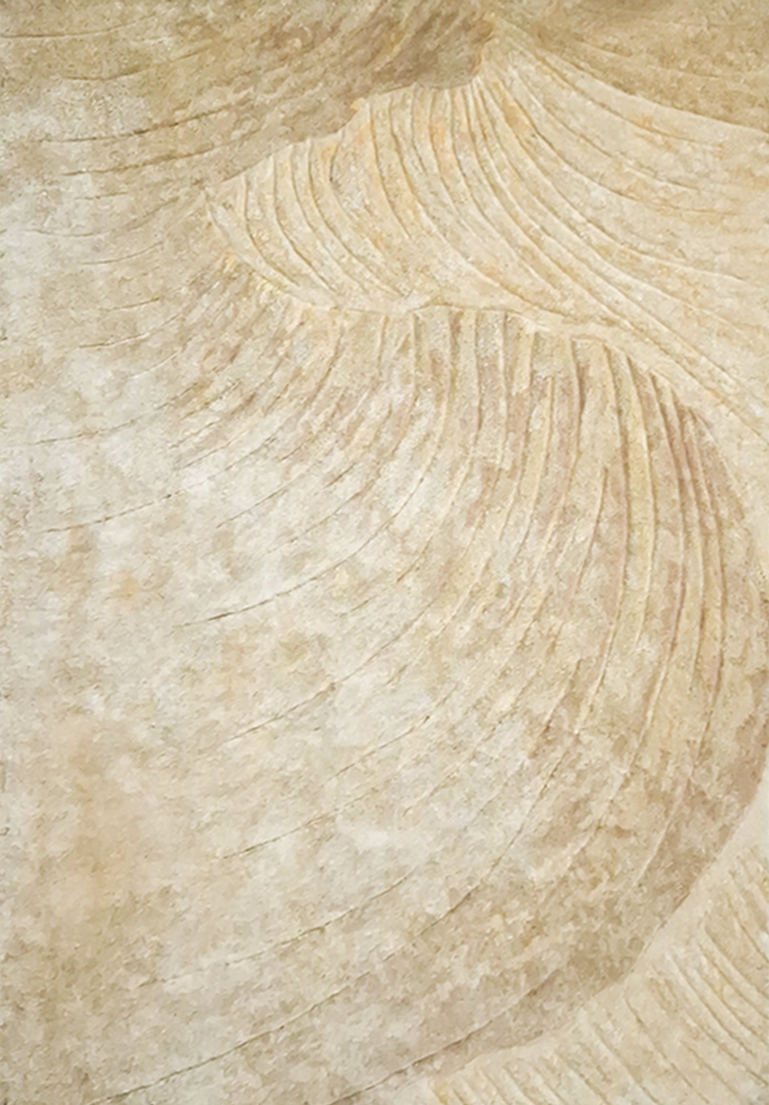 Terra Collections 03