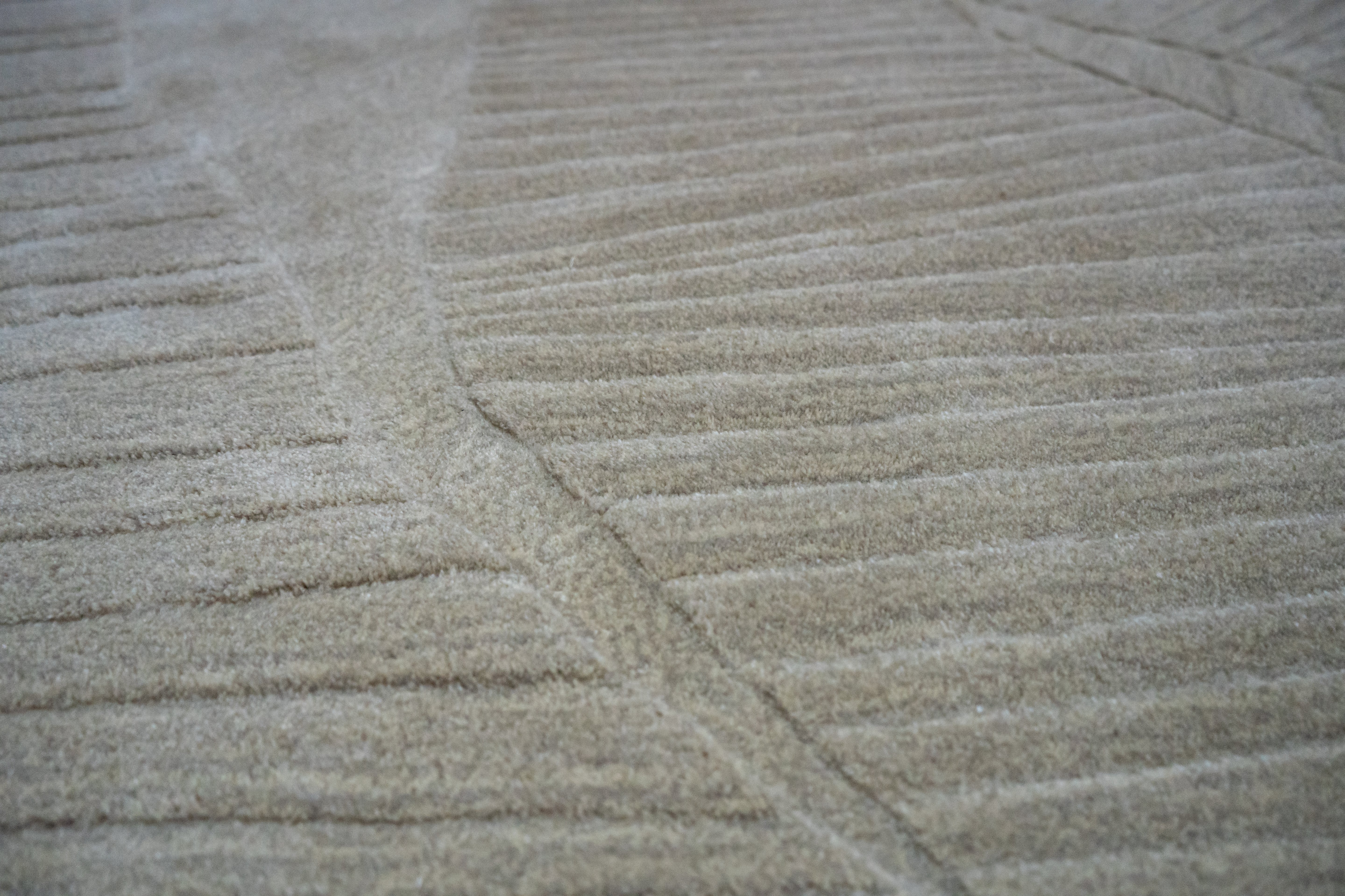 Terra Collections 04