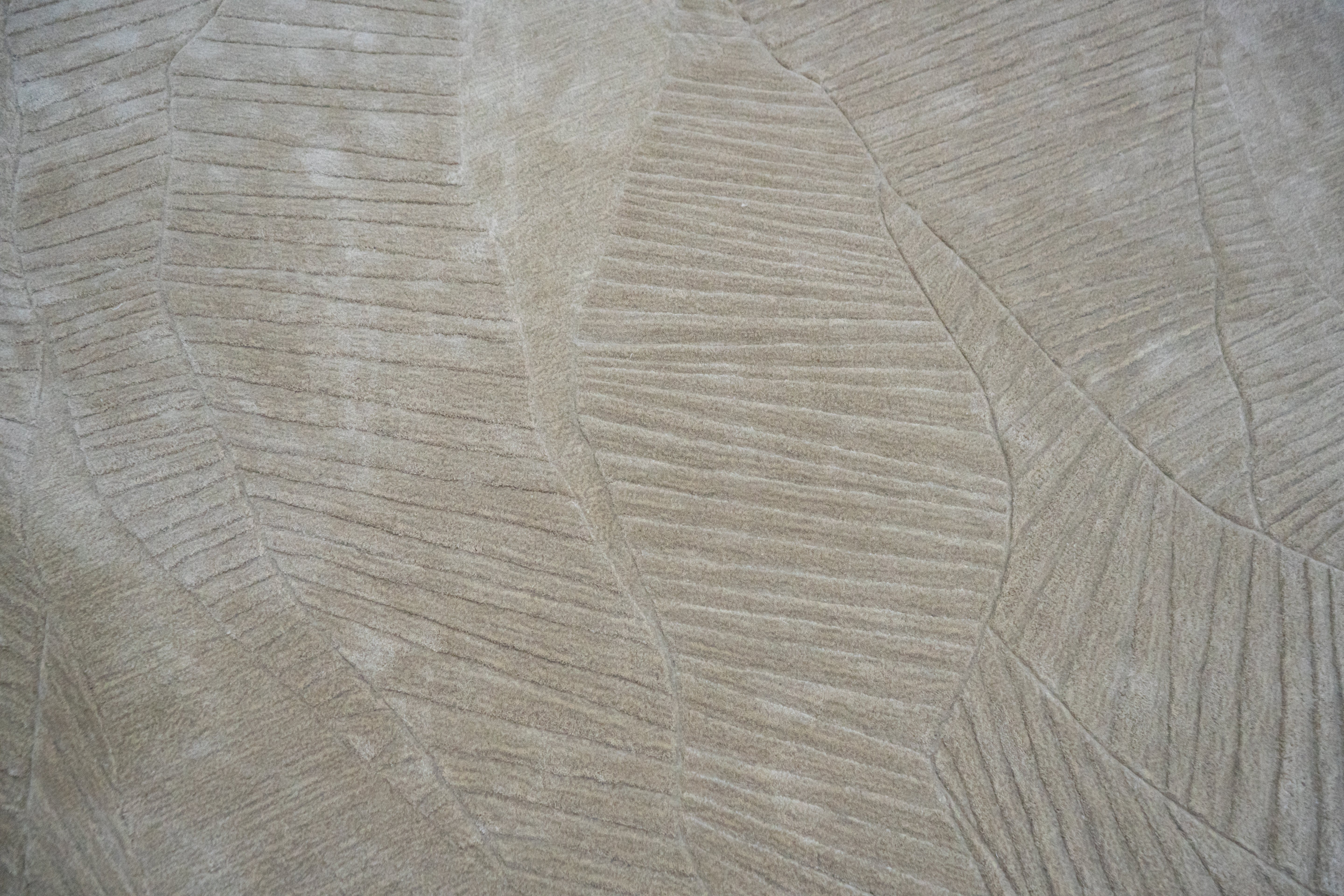 Terra Collections 04