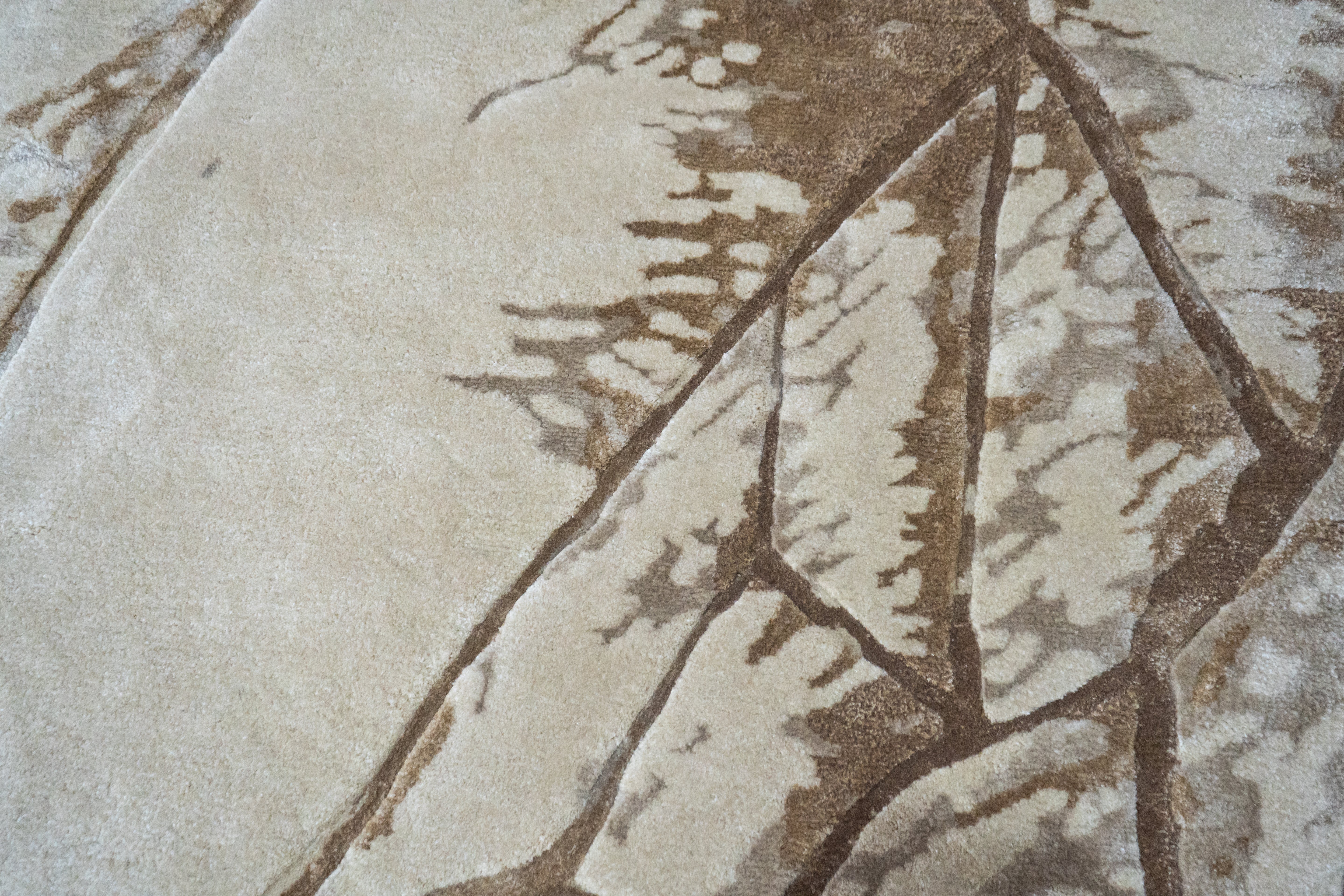 Terra Collections 05