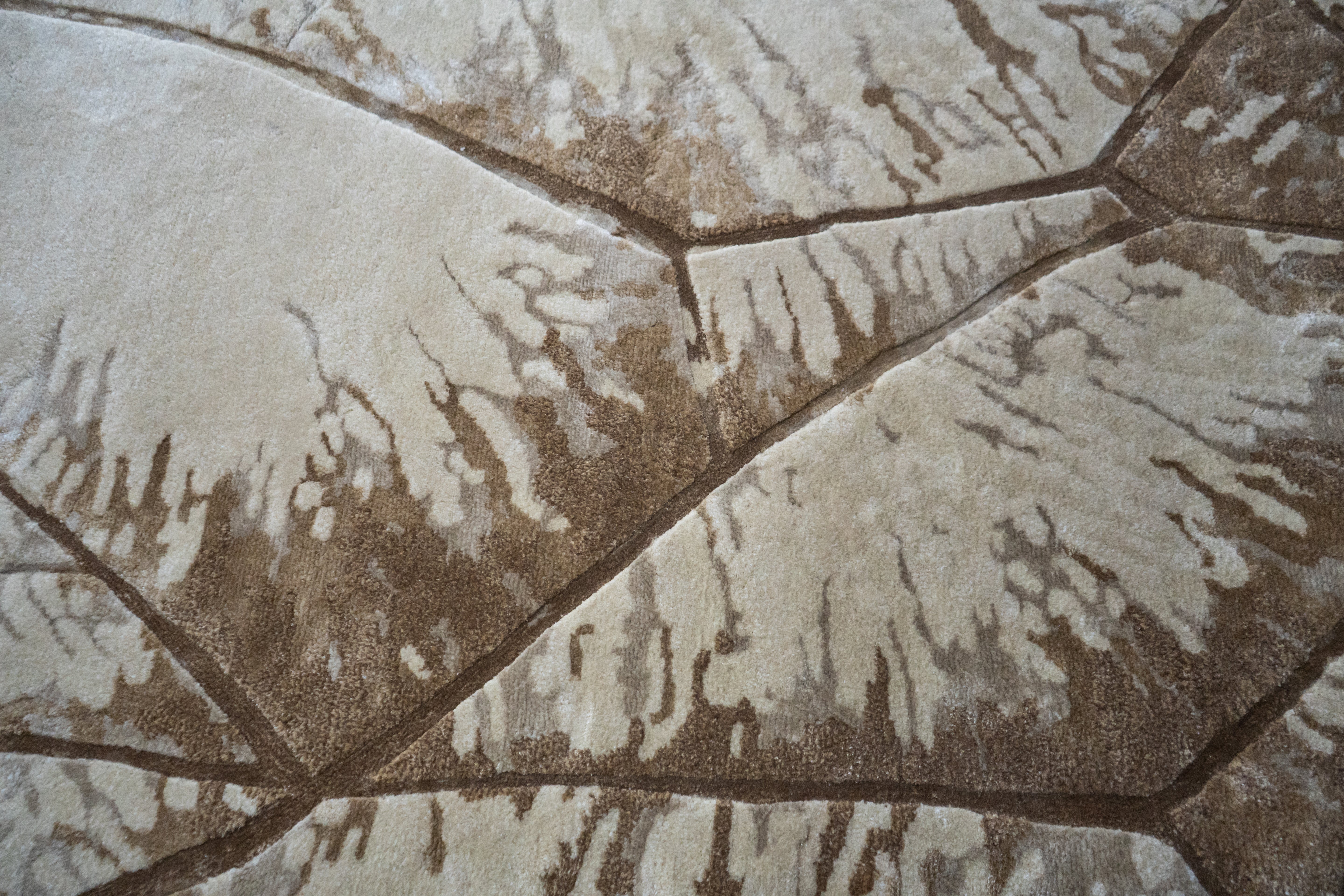 Terra Collections 05