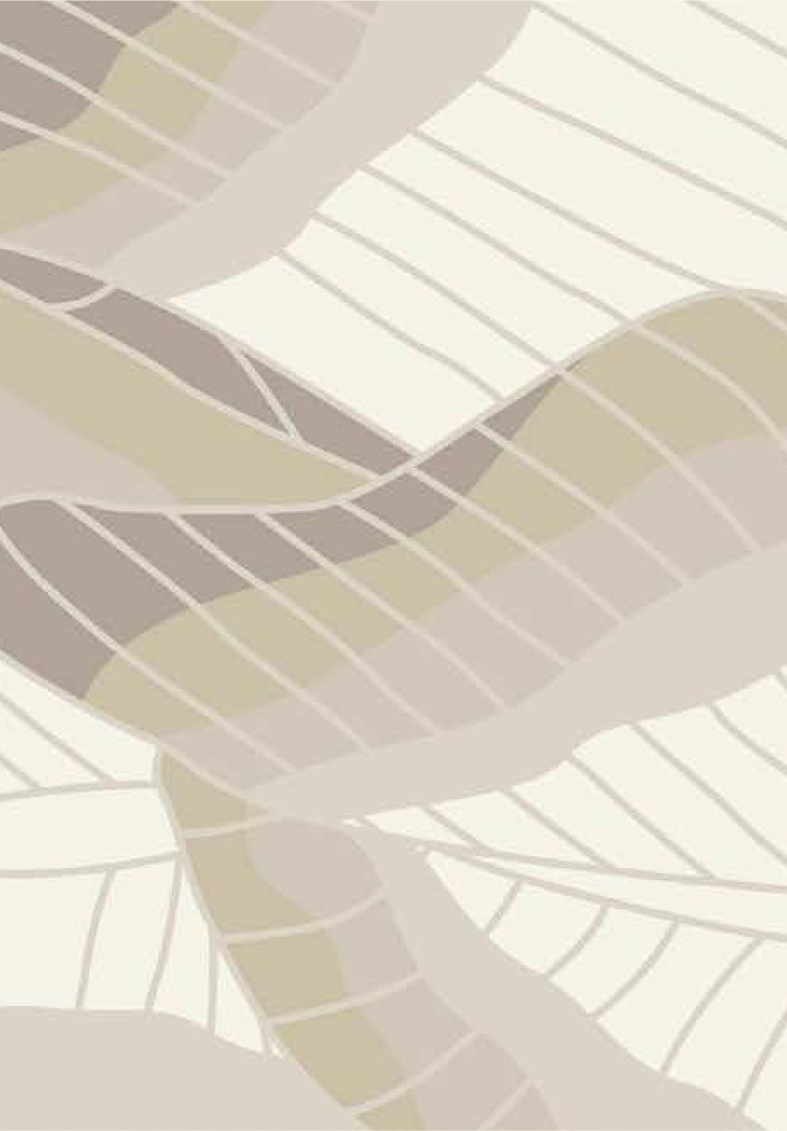 BREEZE 28 (Pre-order)