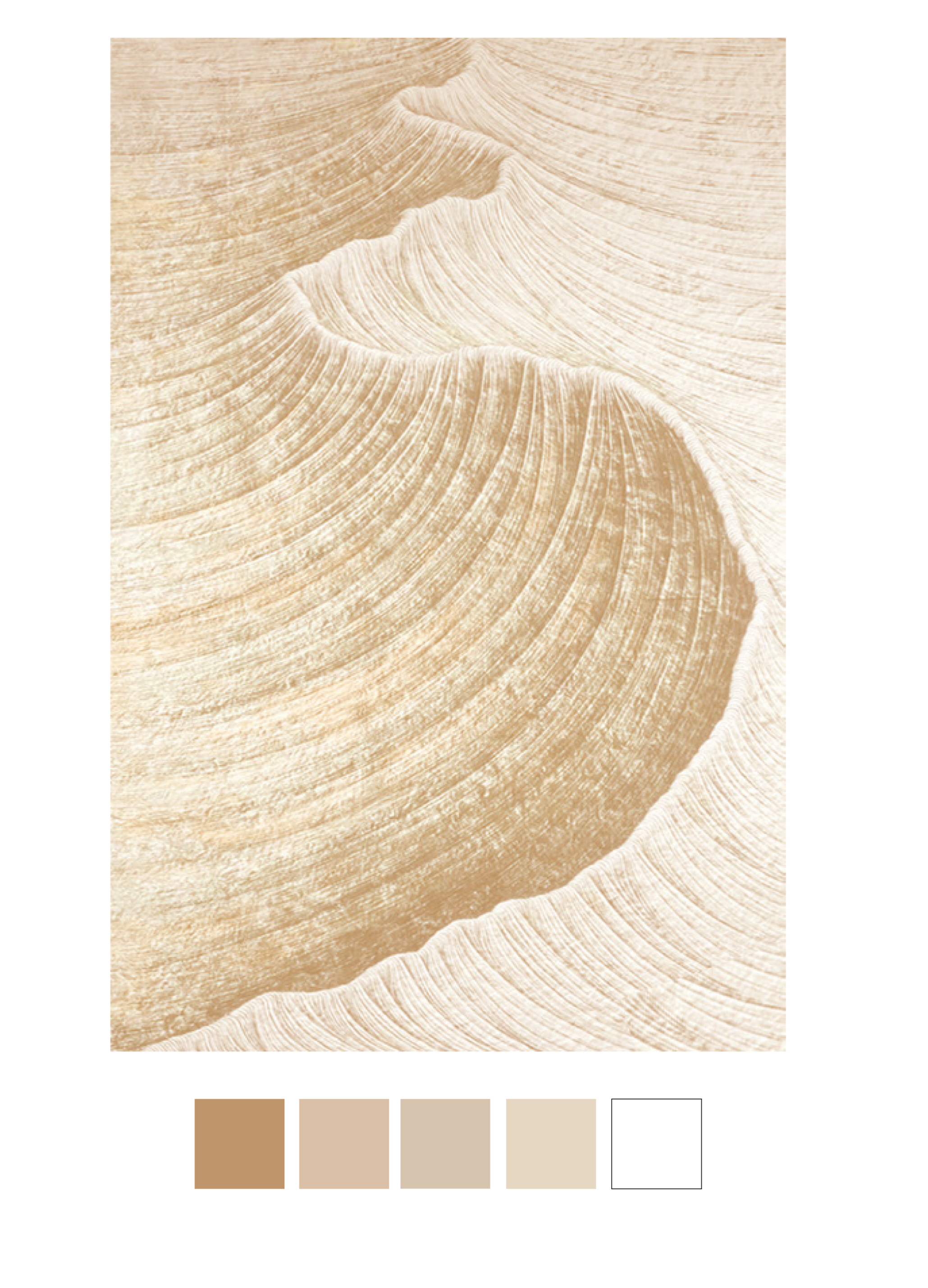 Terra Collections 03
