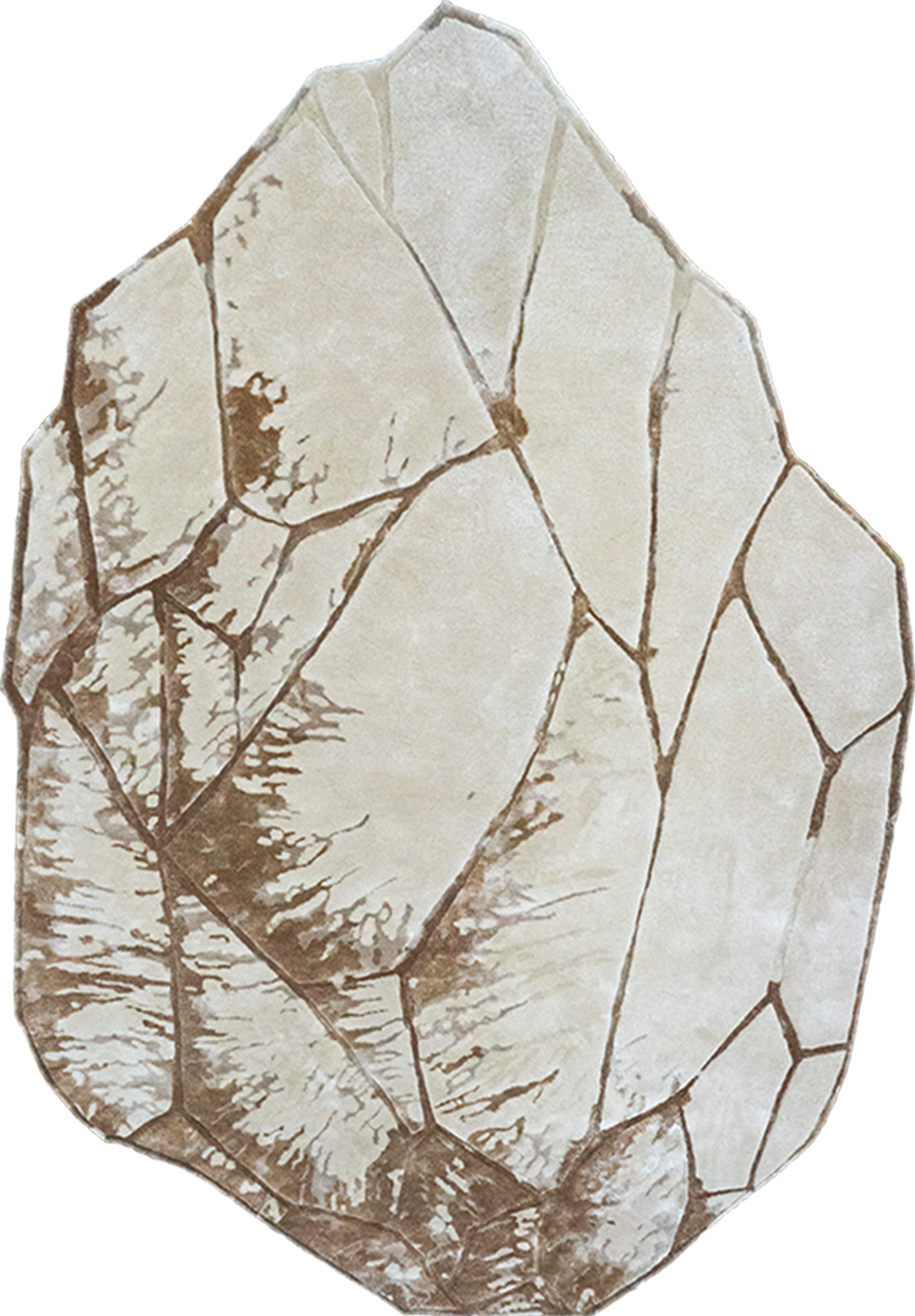 Terra Collections 05